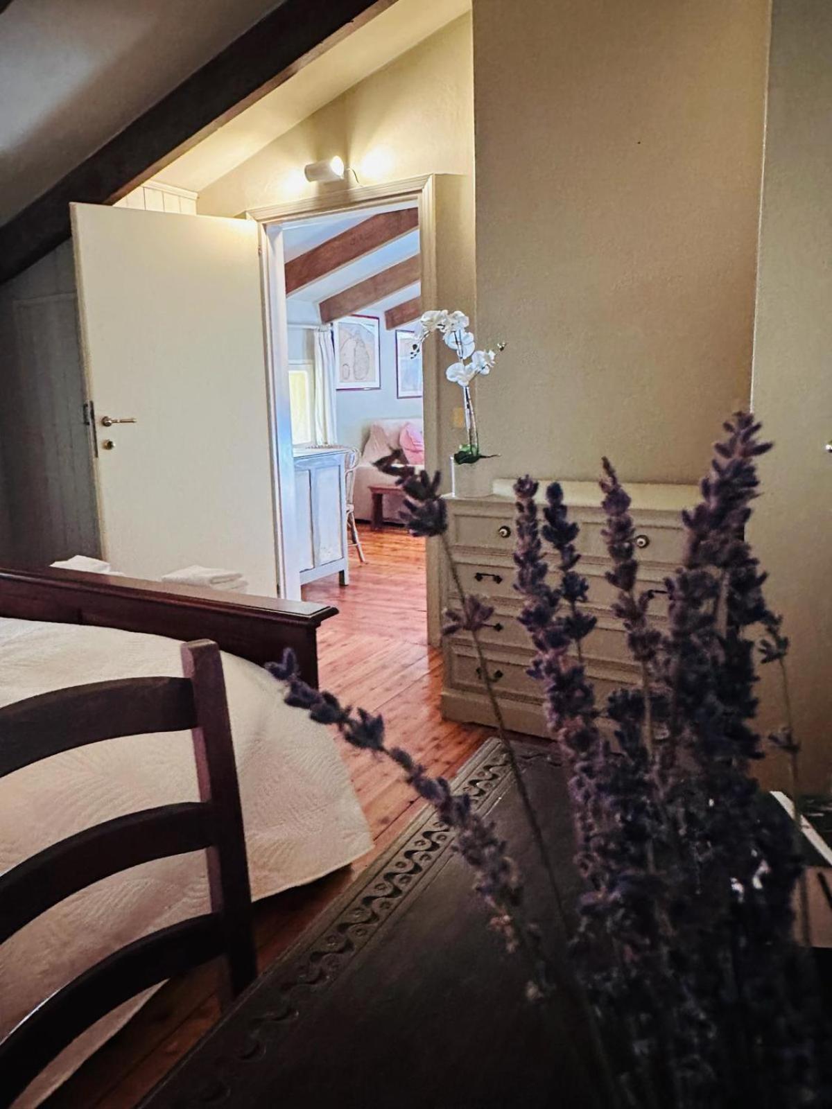 Garden Loft By Veneto Villa Villa Osti Eksteriør billede