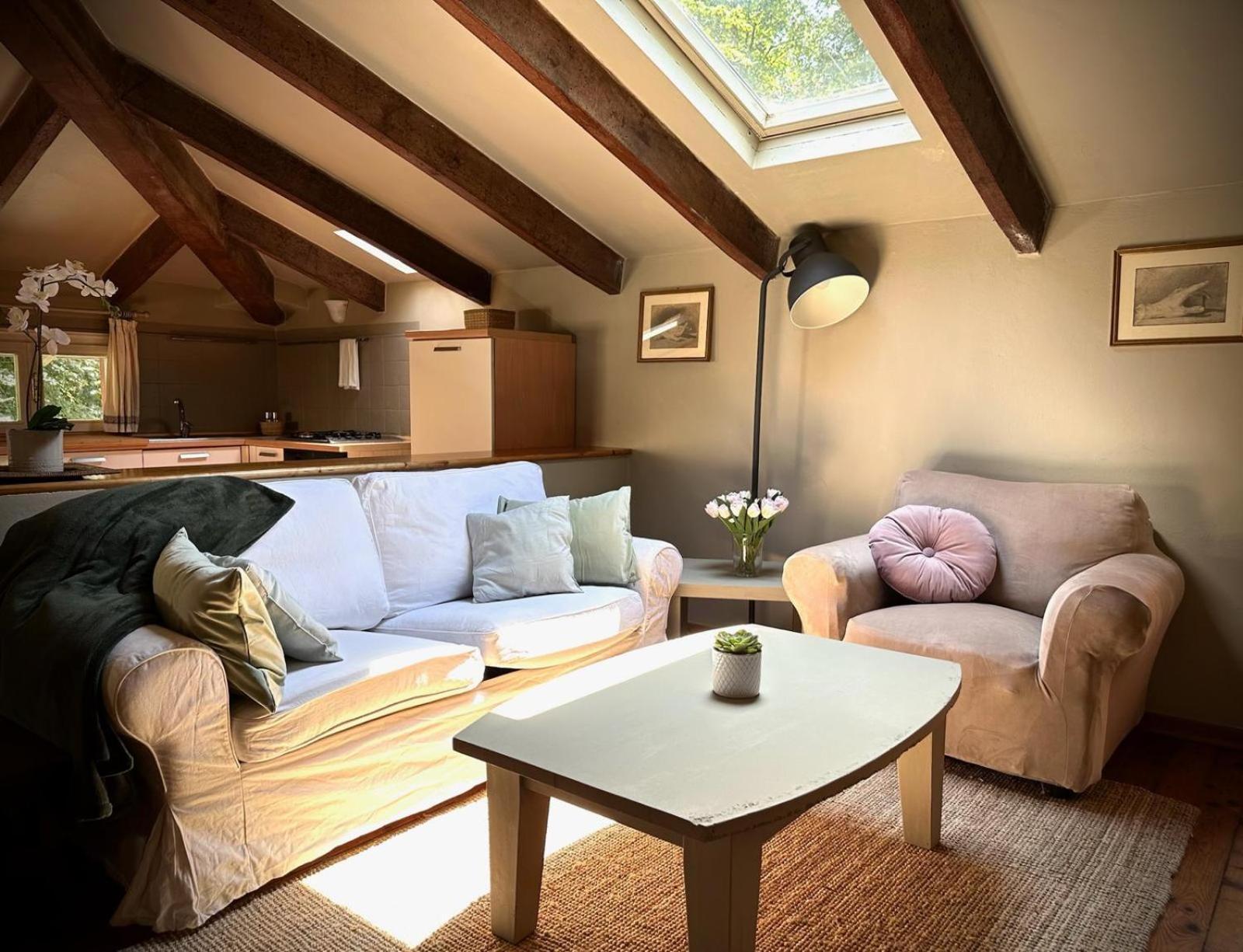Garden Loft By Veneto Villa Villa Osti Eksteriør billede